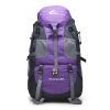 Outdoor Backpack Backpack Hiking Sports Travel Mountaineering Bag - Purple